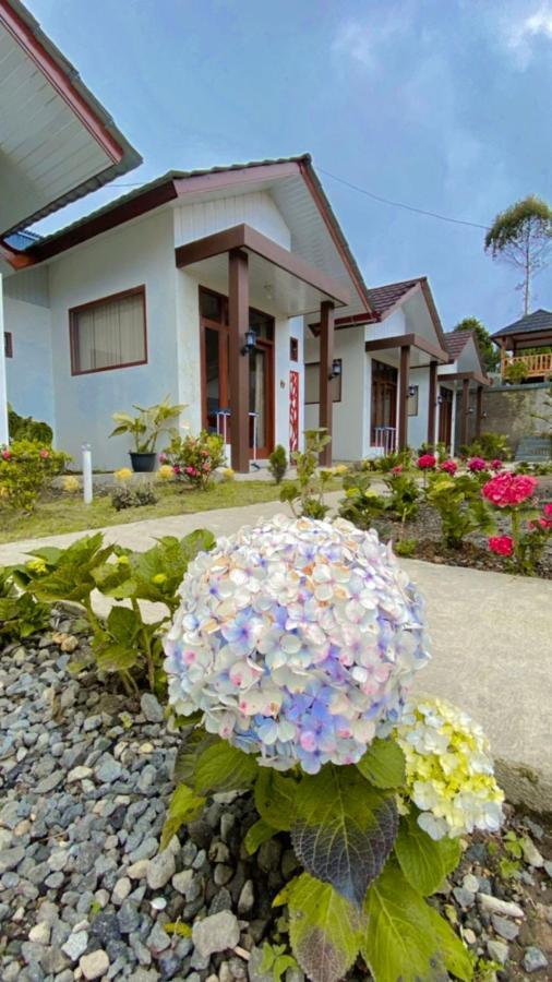 Villa Madinna Dieng Diyeng Exteriör bild