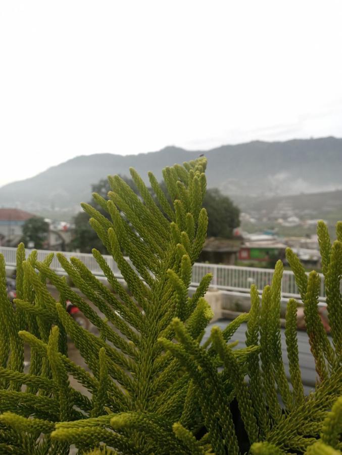Villa Madinna Dieng Diyeng Exteriör bild